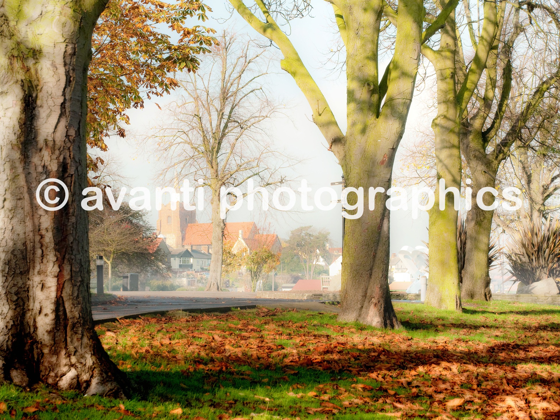 Maldon Picture Gift | Scenic Photo | Prom Park | Photo Gifts and Fine Art Photography Maldon from the Avanti Photographics Maldon Online Store.
